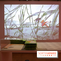 Isao Takahata - Pionnier du dessin animé contemporain, de l’après-guerre au Studio Ghibli, nos photos de l'expo