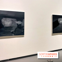 Gerhard Richter : l'exposition retrospective évènement en octobre à la Fondation Louis Vuitton  - 2