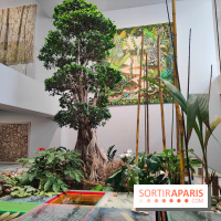 Exposition Générale : la Fondation Cartier raconte 40 ans d'expositions pour sa réouverture - fotor 1760960748830