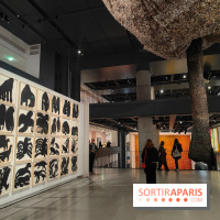 Exposition Générale : la Fondation Cartier raconte 40 ans d'expositions pour sa réouverture - fotor 1760960538033