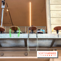 Sole Crushing de Meriem Bennani : l'installation immersive à Lafayette Anticipations - IMG 9994