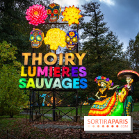 Thoiry Lumières Sauvages 2025 : le Bal des Esprits - A7C09474