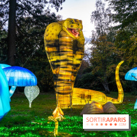 Thoiry Lumières Sauvages 2025 : le Bal des Esprits - A7C09484