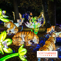 Thoiry Lumières Sauvages 2025 : le Bal des Esprits - A7C09485