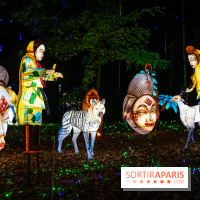 Thoiry Lumières Sauvages 2025 : le Bal des Esprits - A7C09499