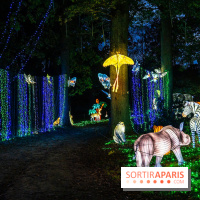 Thoiry Lumières Sauvages 2025 : le Bal des Esprits