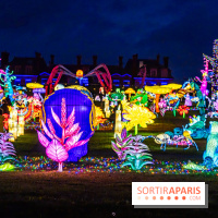 Thoiry Lumières Sauvages 2025 : le Bal des Esprits - A7C09505