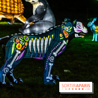 Thoiry Lumières Sauvages 2025 : le Bal des Esprits