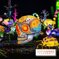 Thoiry Lumières Sauvages 2025 : le Bal des Esprits - A7C09511