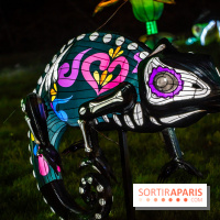 Thoiry Lumières Sauvages 2025 : le Bal des Esprits - A7C09521