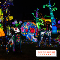 Thoiry Lumières Sauvages 2025 : le Bal des Esprits