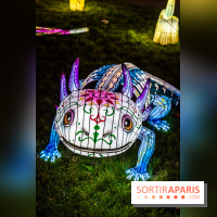 Thoiry Lumières Sauvages 2025 : le Bal des Esprits - A7C09525