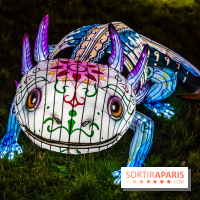 Thoiry Lumières Sauvages 2025 : le Bal des Esprits - A7C09526