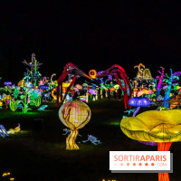 Thoiry Lumières Sauvages 2025 : le Bal des Esprits - A7C09540