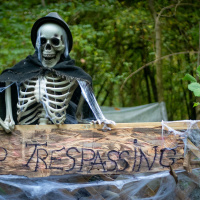 Les Forêts de la Terreur à Sherwood Parc - P1290227