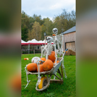 Les Forêts de la Terreur à Sherwood Parc - P1290156