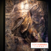 Exposition 'Couleurs de Corée, Lumière sur l’art contemporain coréen' au Centre Culturel Coréen - les photos - A7C09784