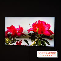 Exposition 'Couleurs de Corée, Lumière sur l’art contemporain coréen' au Centre Culturel Coréen - les photos - A7C09797