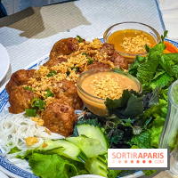 Le Bambou restaurant vietnamien Paris 13e - photos - new nuong
