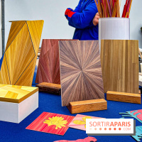 Fabriqué en France 2024 - IMG 6530 jpg