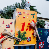 Les dimanches à l’Hippodrome Paris-Vincennes - BV 20241215104159BV  3953