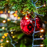 Les dimanches à l’Hippodrome Paris-Vincennes - BV 20241215131126BV1 6074