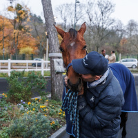 Le Meeting d'hiver arrive en Novembre à  l’Hippodrome Paris-Vincennes - 13