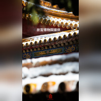 « Un siècle de conservation – de la Cité interdite au Musée du Palais » au Centre Culturel de Chine - 21大雪