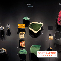 Rêveries de pierres : l'exposition rétrospective gratuite à l'Ecole des Arts Joailliers - IMG 0048