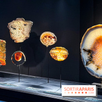 Rêveries de pierres : l'exposition rétrospective gratuite à l'Ecole des Arts Joailliers - IMG 0070