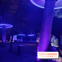 En voie d'illumination : Lumières de la nature : le festival nocturne hivernal du Jardin des Plantes - fotor 1762431317069