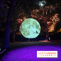 En voie d'illumination : Lumières de la nature : le festival nocturne hivernal du Jardin des Plantes - fotor 1762431759366