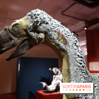 Échappées, récit d’une odyssée urbaine : nos photos de cette exposition collective et gratuite à Paris 