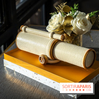 Bûche de Noël du Jules Verne : Voyage Extraordinaire - A7C09595