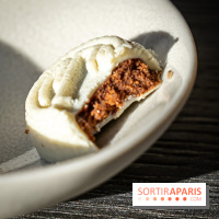 Bûche de Noël du Jules Verne : Voyage Extraordinaire - A7C09623