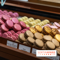 Bûches de Noël du jardin Sucré 2025