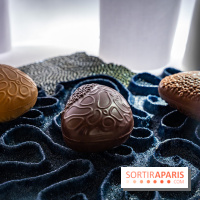 Bûches de Noël et créations de fête 2025 de Pierre Hermé : les Abysses - A7C07844