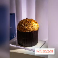 Bûches de Noël et créations de fête 2025 de Pierre Hermé : les Abysses - A7C07859