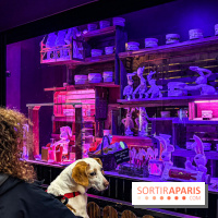 Les vitrines de Noël 2025 du Bon Marché : le grand magasin se métamorphose en (Bon) Marché de Noël - IMG 0762