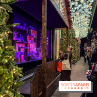 Les vitrines de Noël 2025 du Bon Marché : le grand magasin se métamorphose en (Bon) Marché de Noël