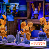 Les vitrines de Noël 2025 du Bon Marché : le grand magasin se métamorphose en (Bon) Marché de Noël - IMG 0782