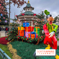 Noël à Disneyland Paris : Disney's Enchanted Christmas - IMG 1024