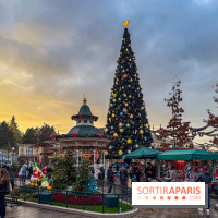 Noël à Disneyland Paris : Disney's Enchanted Christmas - sapin