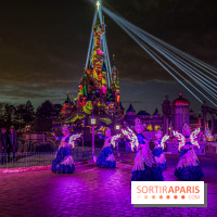 Noël à Disneyland Paris : Disney's Enchanted Christmas