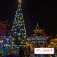 Noël à Disneyland Paris : Disney's Enchanted Christmas - sapin