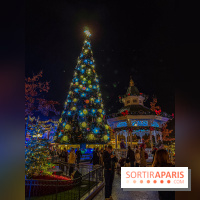 Noël à Disneyland Paris : Disney's Enchanted Christmas - sapin