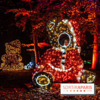 Lumières en Seine 2025, les photos du parcours de lumières - A7C00394