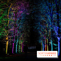 Lumières en Seine 2025, les photos du parcours de lumières - A7C00438