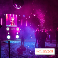 Lumières en Seine 2025, les photos du parcours de lumières - A7C00450