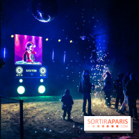 Lumières en Seine 2025, les photos du parcours de lumières - A7C00460